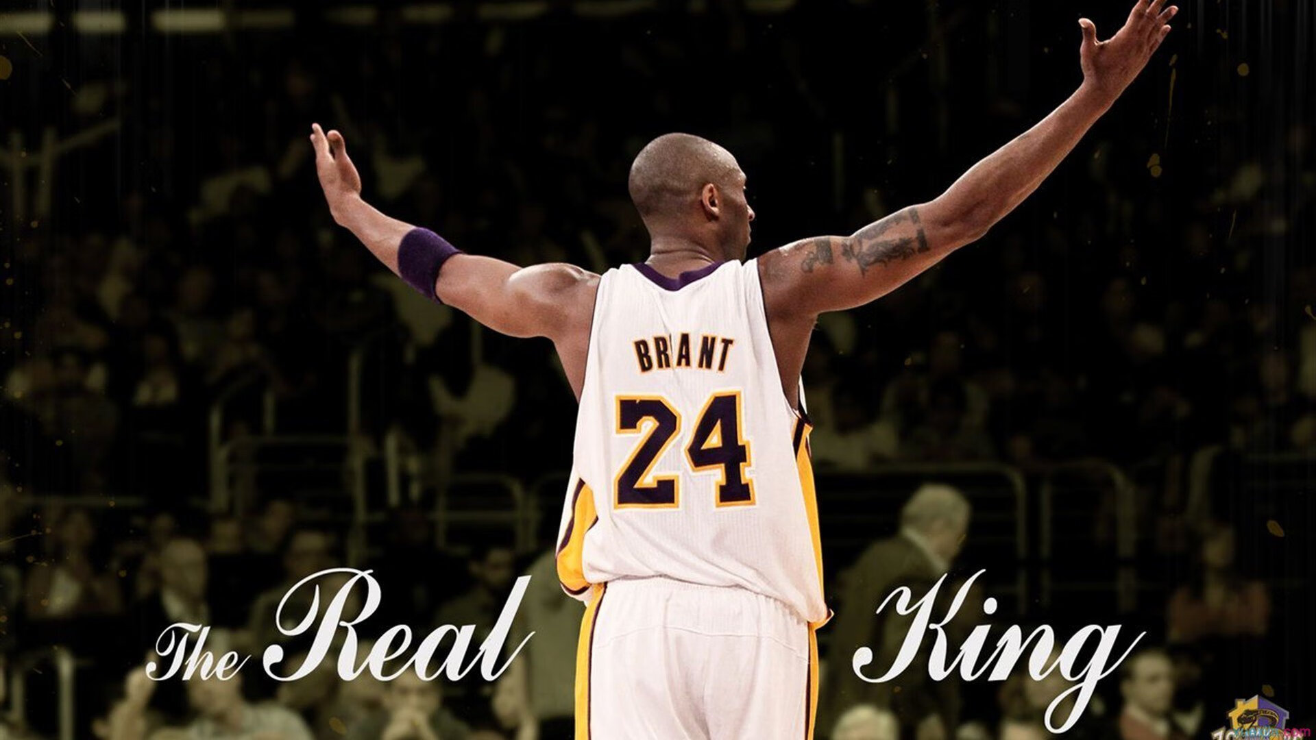 “2025世界游泳锦标赛:水上芭蕾展现不一样的艺术魅力”