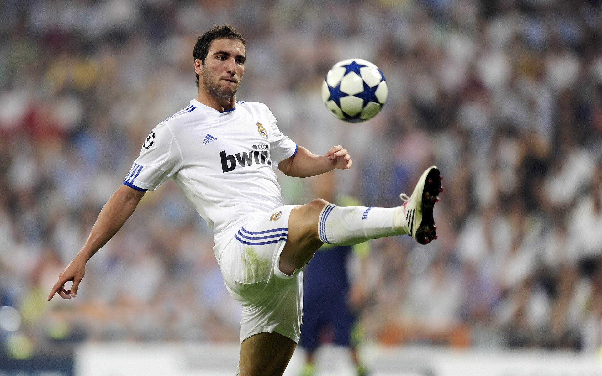 开云官网首页-五大联赛开局阶段是否决定赛季最终走向，五大联赛开局阶段是否决定赛季最终走向胜利