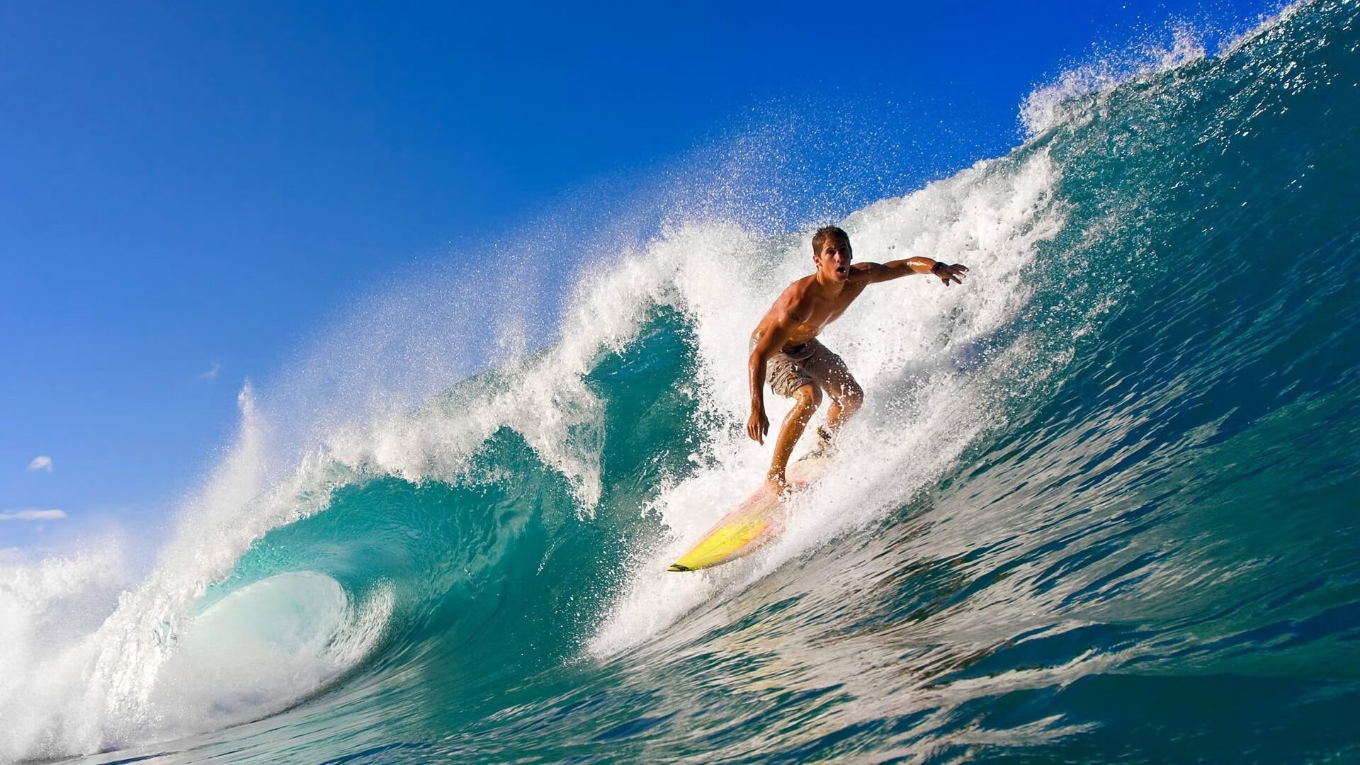 “南非羚羊队的强大阵容：萨尔·巴赫和其他新星的完美搭档”